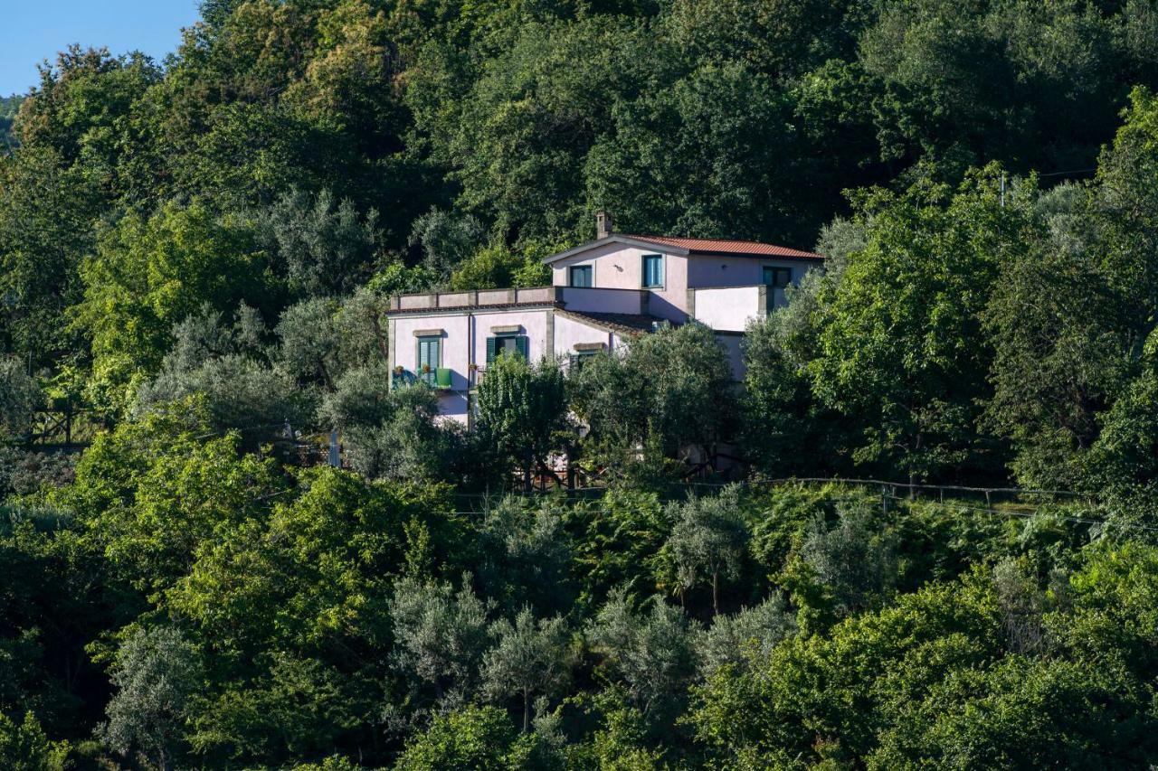 Hotel Il Casale Sorrent Exterior foto